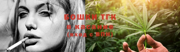 PSILOCYBIN Богородицк