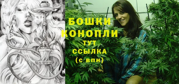 PSILOCYBIN Богородицк