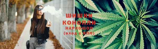 PSILOCYBIN Богородицк