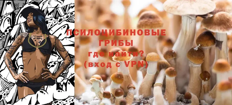 Псилоцибиновые грибы Magic Shrooms  наркошоп  Копейск 